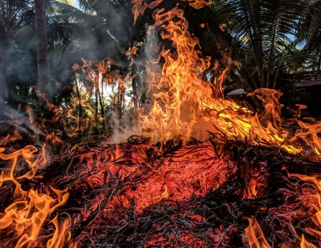 a photo of a blazing wildfire in north virginia