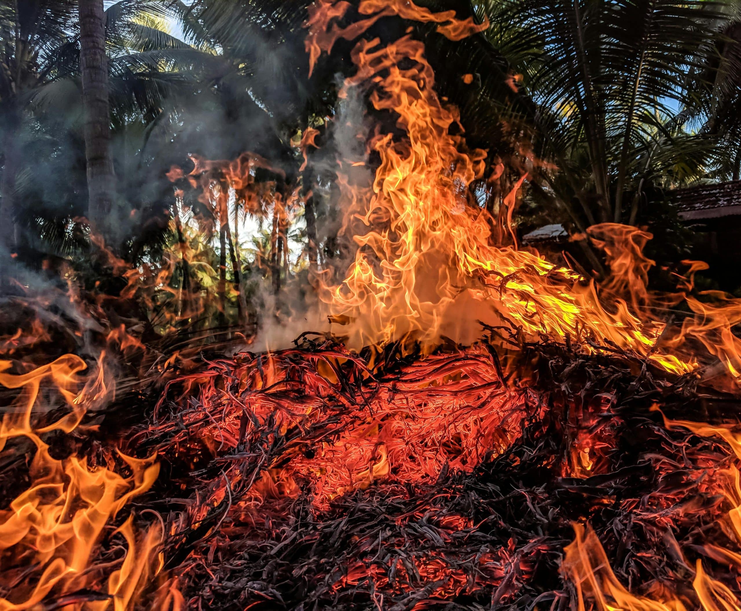 a photo of a blazing wildfire in north virginia